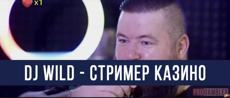 Dj WILD стример казино